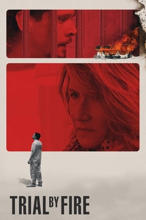 Trial by Fire 2018 Dual Audio | Hindi Full Movie Web-DL 400MB
